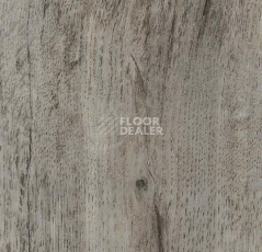 Кварцвиниловые полы Forbo Effekta Professional 0.45 4101 P Winter Harvest Oak PRO фото 1 | FLOORDEALER